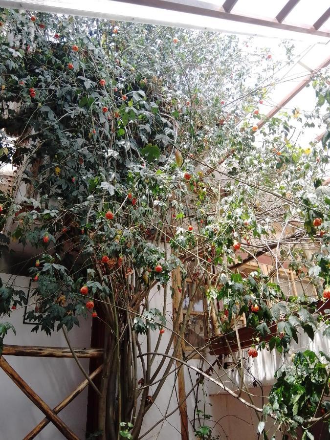 Casa De Mama Cusco - The Treehouse Aparthotel Bagian luar foto